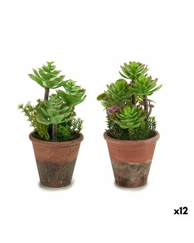 Succulente Artificiali Verde Fogliame in Plastica | 12Pz | Decorazioni Interni | 16 x 23 x 16 cm