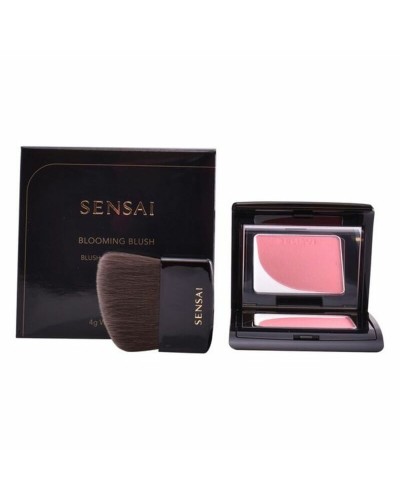 Kanebo Blooming Blush: Illuminating and Natural Flush for Radiant Cheeks
