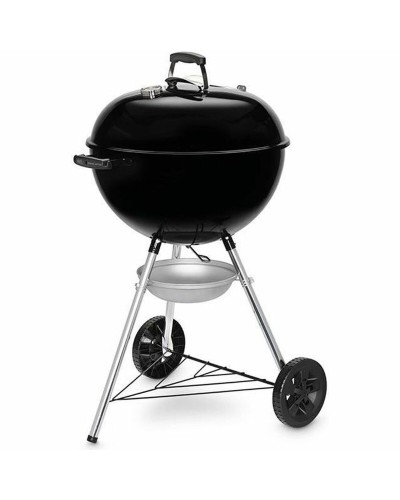 Weber Q 1400 Portable Propane Gas Grill, 2 Burners, Enameled
