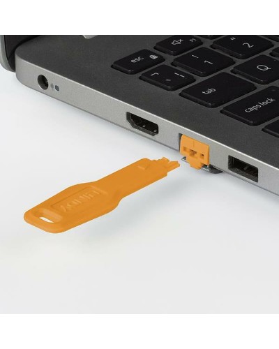 LINDY USB 2.0 Type A Male to Micro-B Male Cable, 1m - Data Transfer & Charging
