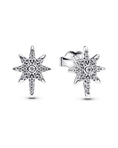 Oorbellen Dames Pandora 293587C01 Zilverkleurig