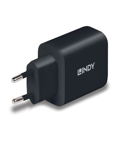LINDY Cargador USB-C 65W Power Delivery - Negro - Carga Rápida
