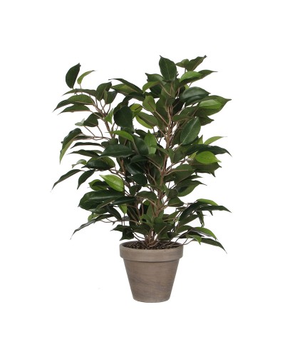 Mica Decorations Ficus Kunstpflanze Keramiktopf Grün PVC 40 x 30 cm
