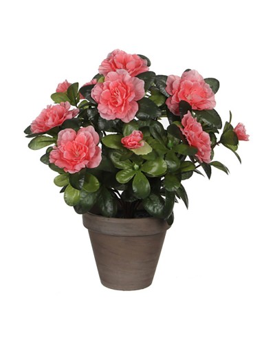 Decoratieve plant Mica Decorations 11,5 x 27 x 20 cm