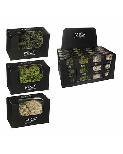Mica Decorations Musgo Decorativo - Paquete de 50 g para Manualidades

