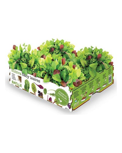 Batlle Kit de Culture Salades Jeunes Pousses, 40 x 29 x 10,5 cm, 2,6 Kg
