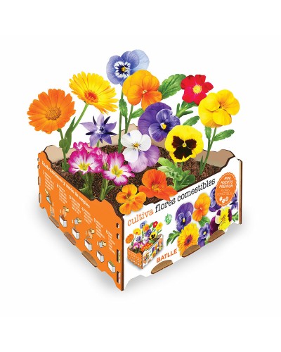 Kweekset Batlle Blommor Eetbaar 19 x 19 x 10 cm