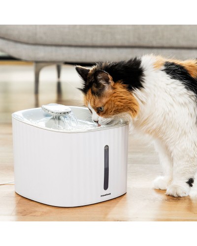 Fuente automática Drinkatt InnovaGoods para mascotas, filtro de calidad.
