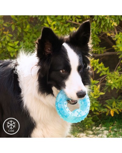 Glubiz InnovaGoods: 2-in-1 Kühl-Beißspielzeug für Hunde und Katzen
