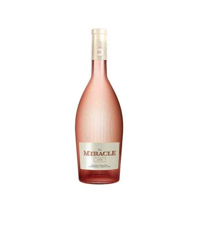 Vino Rosato Vicente Gandía (6 bottiglie)