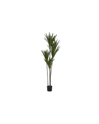 Decoratieve plant DKD Home Decor (80 x 80 x 180 cm)