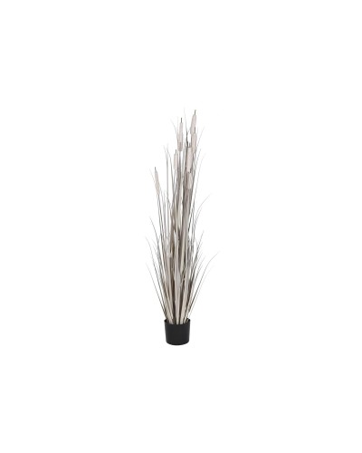 DKD Home Decor Zierpflanze Juncus: Eleganz und Frische in 45 x 45 x 150 cm
