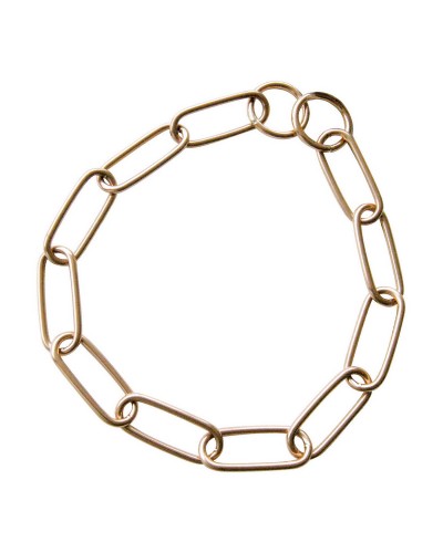 Hondenhalsband Hs Sprenger Lengte (54 cm)