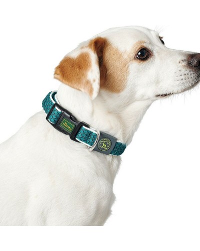 Collier pour Chien Hunter Basic Filo, M Citron Vert (Taille Réglable 33-50 cm)
