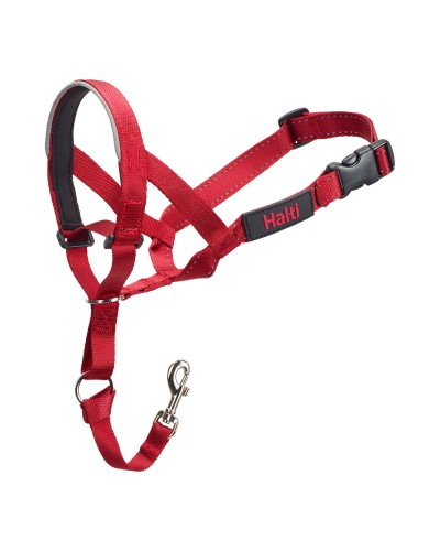 Company of Animals Halti Maulkorb-Trainingshalsband: Sanfte Kontrolle für mittelgroße Hunde
