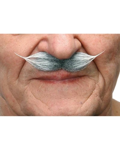 Mustasch My Other Me Grå Vit