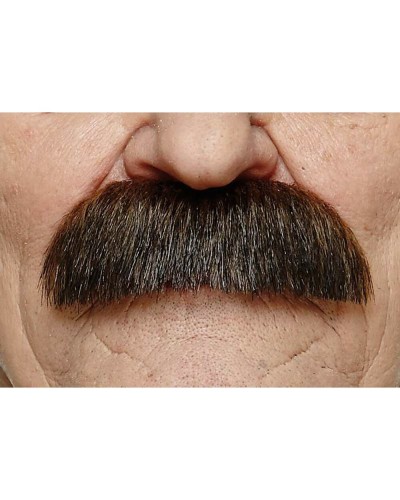 Snor My Other Me Bruin