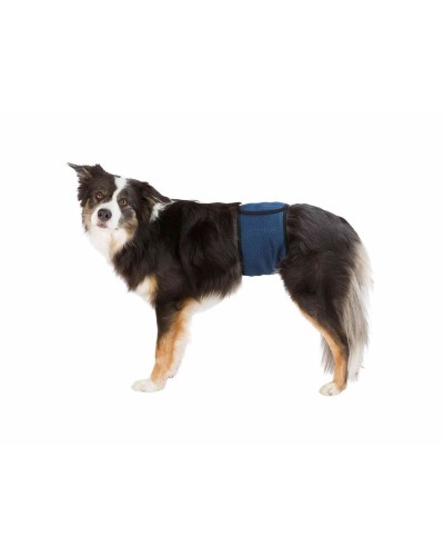 Bevestigingsband Trixie 45-55 cm Mannelijk Onderbuik