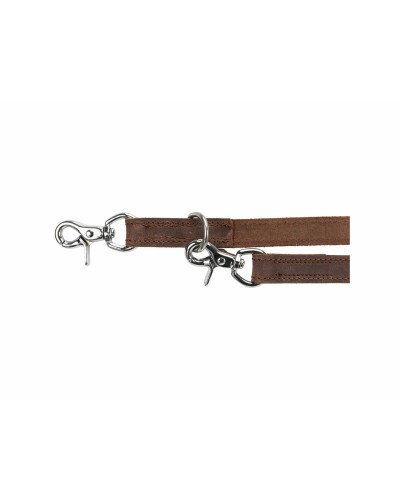 Trixie Brown Dog Leash for Medium/Large Dogs (2 m)
