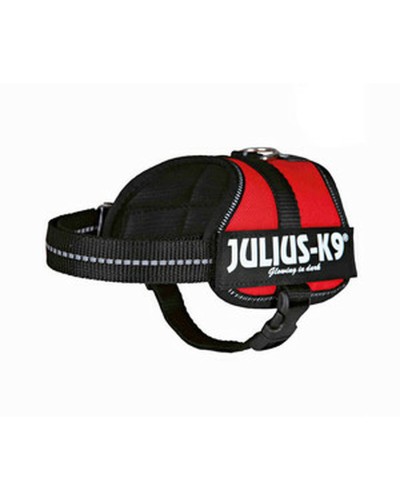Koiran valjaat Julius K9 Power Punainen 2 Baby 2 (XS/S)