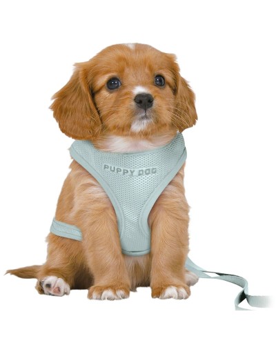 Trixie Junior Dog Harness Mint Medium/Large
