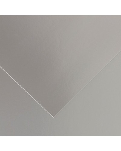 Cartulinas Iris Gris Plateado 50x65cm: Papel de Alta Calidad para Creaciones Artísticas y Decoraciones
