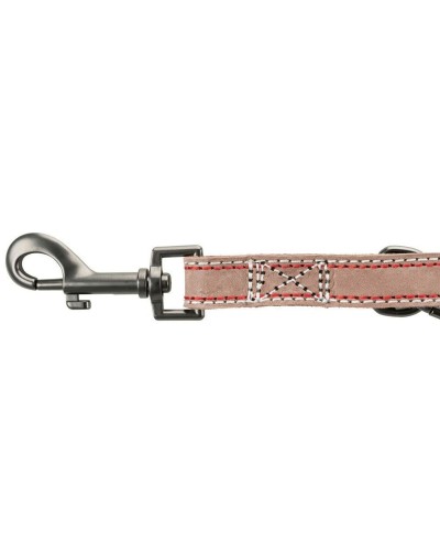Trixie Brown Leash for Medium/Small Dogs, Length 2 Meters
