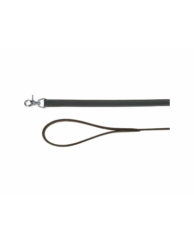 Laisse Trixie Grise L/XL 1 m | Parfaite pour des promenades en toute sécurité avec les Chiens de Grande Taille
