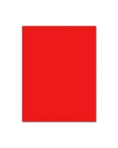 Fiches Iris Rood 50 x 65 cm