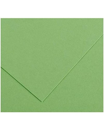 Fiches Iris Apple Groen 50 x 65 cm