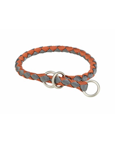 Collar de Adiestramiento Naranja Grafito Trixie XS/S, 25-31cm

