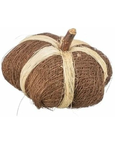 Trixie Hundesnacks: Leckere Kausnacks 9 × 6 CM für Zahnhygiene
