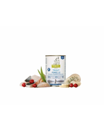 Isegrim Katzen-Feuchtfutter Fisch | Proteinreiche Rezeptur | 800 g Packung
