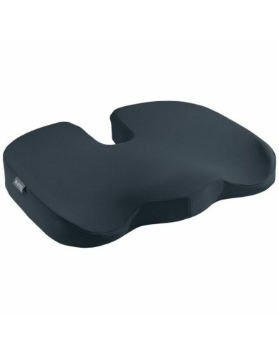 Leitz Chair Cushion: Comfortable support for your workspace
