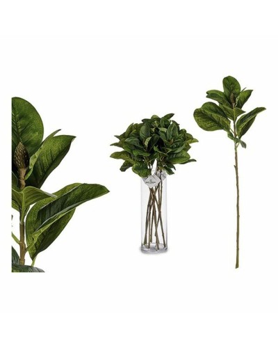 Decoratieve plant 8430852770394 Groen Plastic