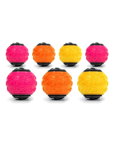 Hondenspeelgoed Gloria Multicolour TPR 24 Stuks