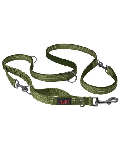 Laisse pour Chiens Company of Animals Vert, Taille S
