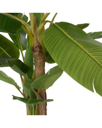 Decorative Plant Rubber Banana plant 70 x 70 x 200 cm