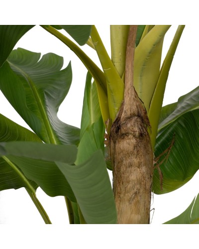 Decorative Plant Rubber Banana plant 70 x 70 x 200 cm