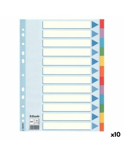 Esselte Mehrzweck-Register A4 - 10er Pack | Sortierte Farben
