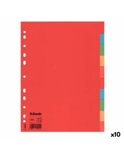 Spoorverbreders Esselte    Multicolour Karton (10 Stuks)