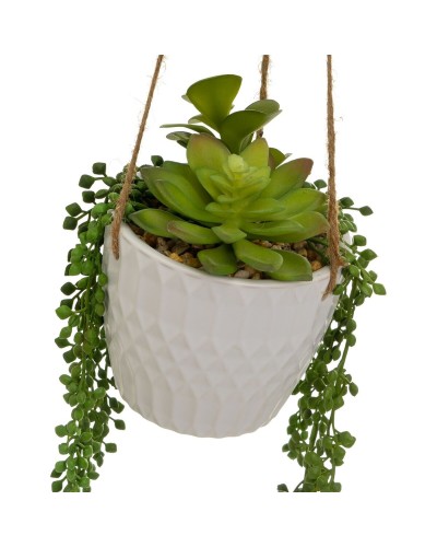 Decorative Plant Ceramic Polyethylene 14 x 14 x 40 cm