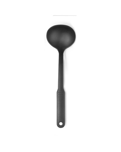 Ibili Non-Stick Nylon Ladle, Length 31 cm, Ideal for Homes and Restaurants
