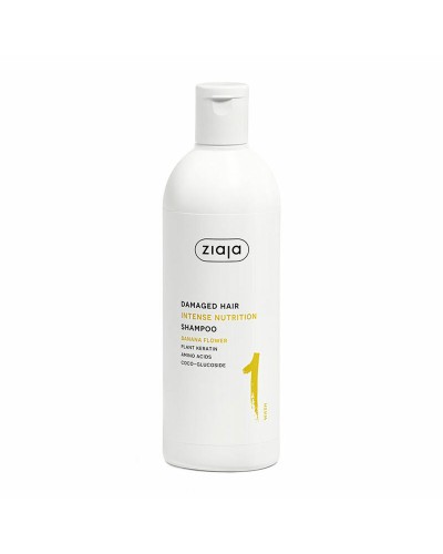 Shampoo Ziaja PLANT ESSENTIALS 400 ml