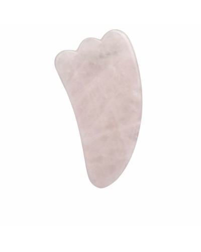 Rengöringsborste till ansikte Paloma Beauties HIGIENE Y BIENESTAR Rosa