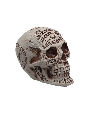 Decorazione Halloween Teschio Realistico - 13x16x18cm - Ornamento Spaventoso
