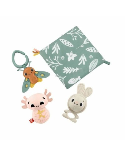 Fisher-Price Juguete para Bebés Primeros Meses - ¡Sensorial e Interactivo!
