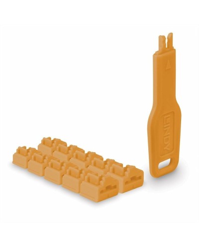 LINDY Câble Réseau CAT6 Rigide UTP - 100m - Installation Fixe - Haute Performance
