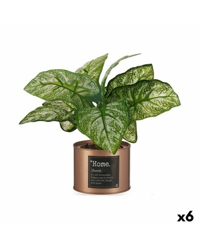Dekorativ växt Home Koppar Can (26 x 26 x 26 cm) (6 antal)