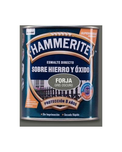 Lakka AkzoNobel 5093211 750 ml Viimeistelylakka Tumman harmaa Matta